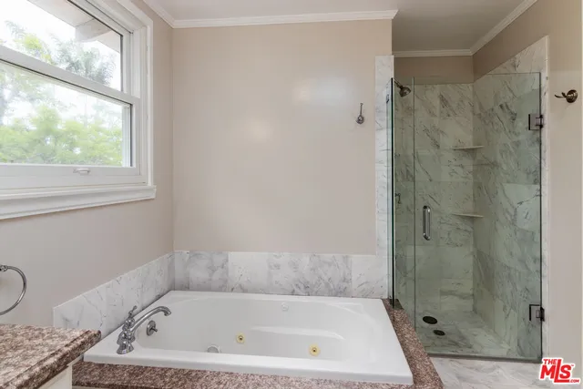 a bathroom with a bath tub and a shower