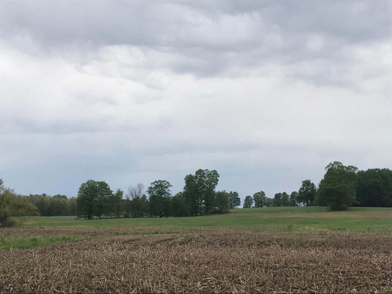 0 West Polk Road Hart, MI 49420 - Photo 2 of 2 00 Polk Ground