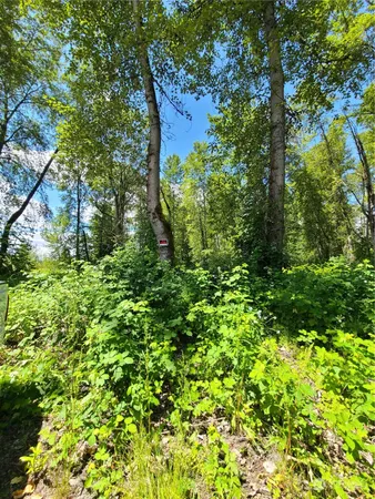 $1,650,000 | 201 River Avenue Northeast, Orting, WA 98360