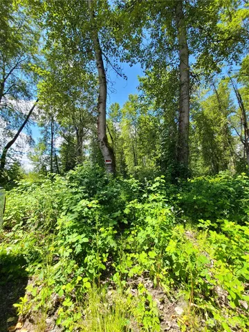 $1,650,000 | 201 River Avenue Northeast, Orting, WA 98360