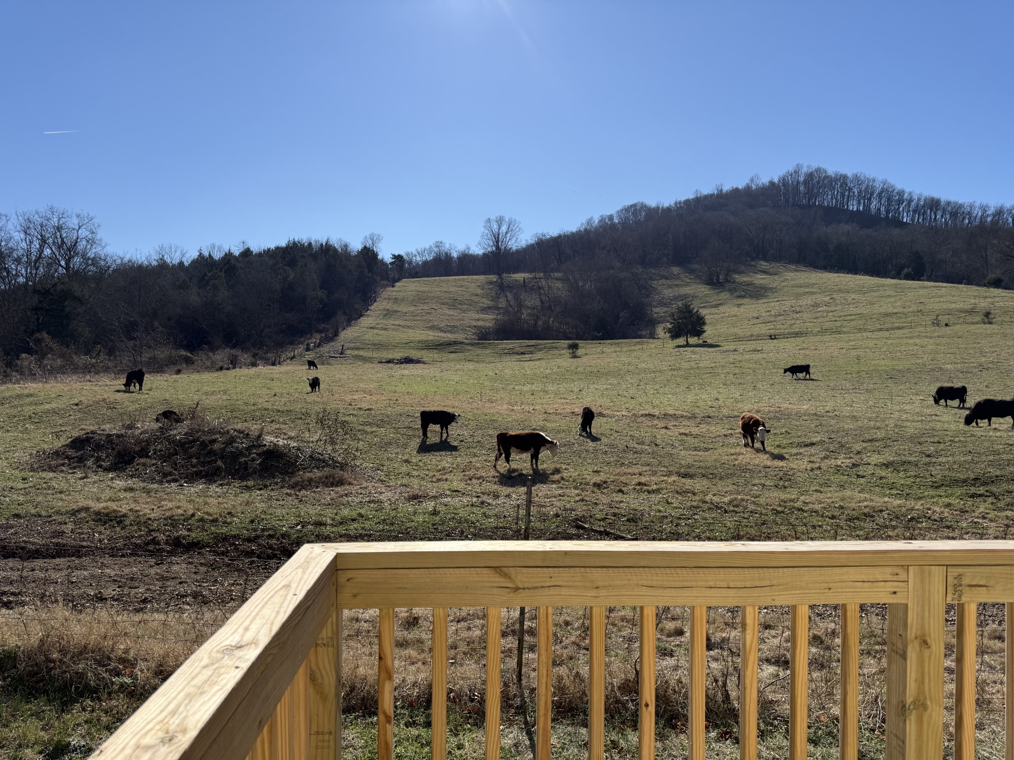 520 Pumpkin Branch Road Dixon Springs, TN 37057 - Photo 27 of 36 a view of a swimming pool with a lake view