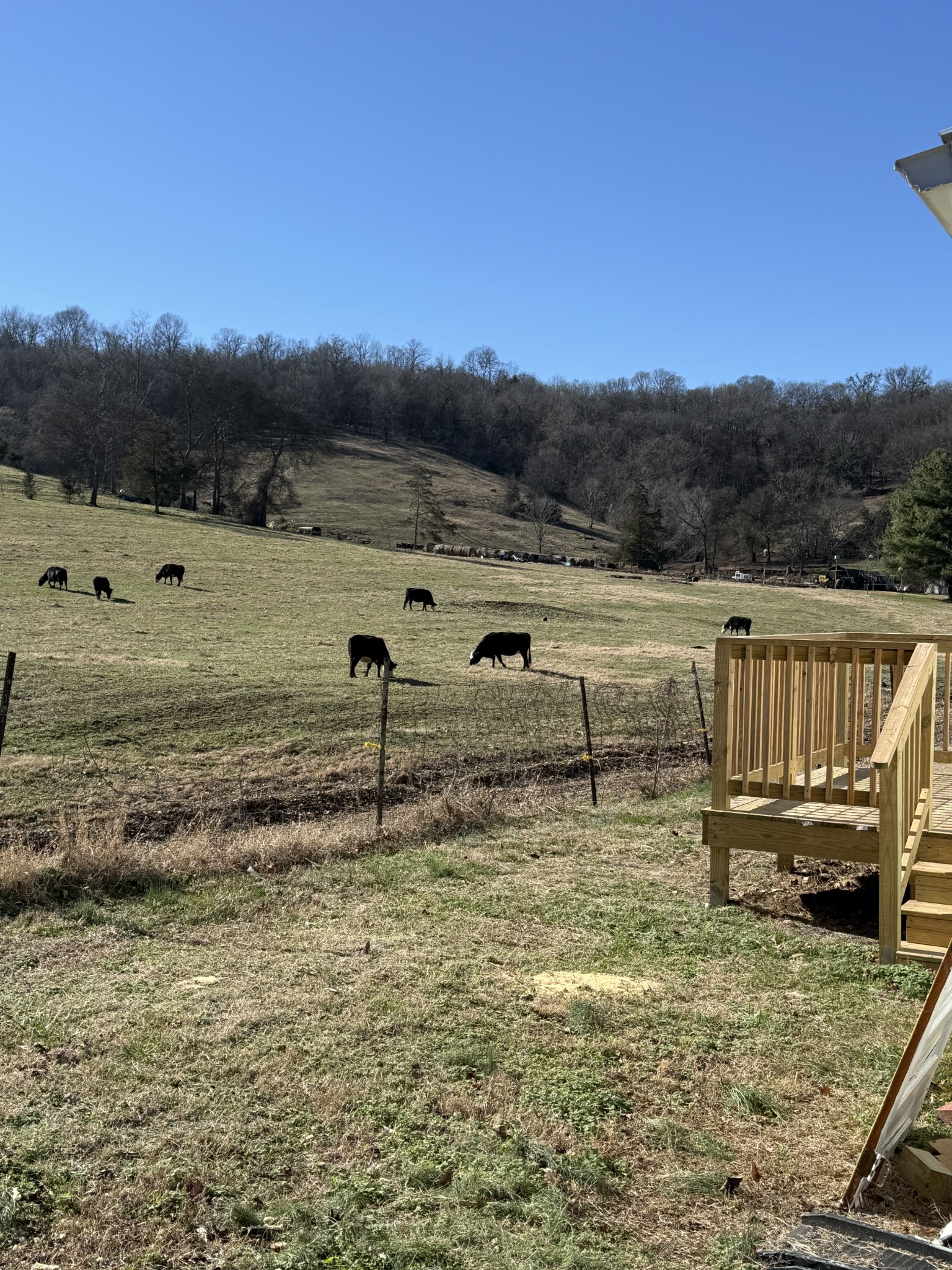 520 Pumpkin Branch Road Dixon Springs, TN 37057 - Photo 28 of 36 a view of a lake with houses in the back