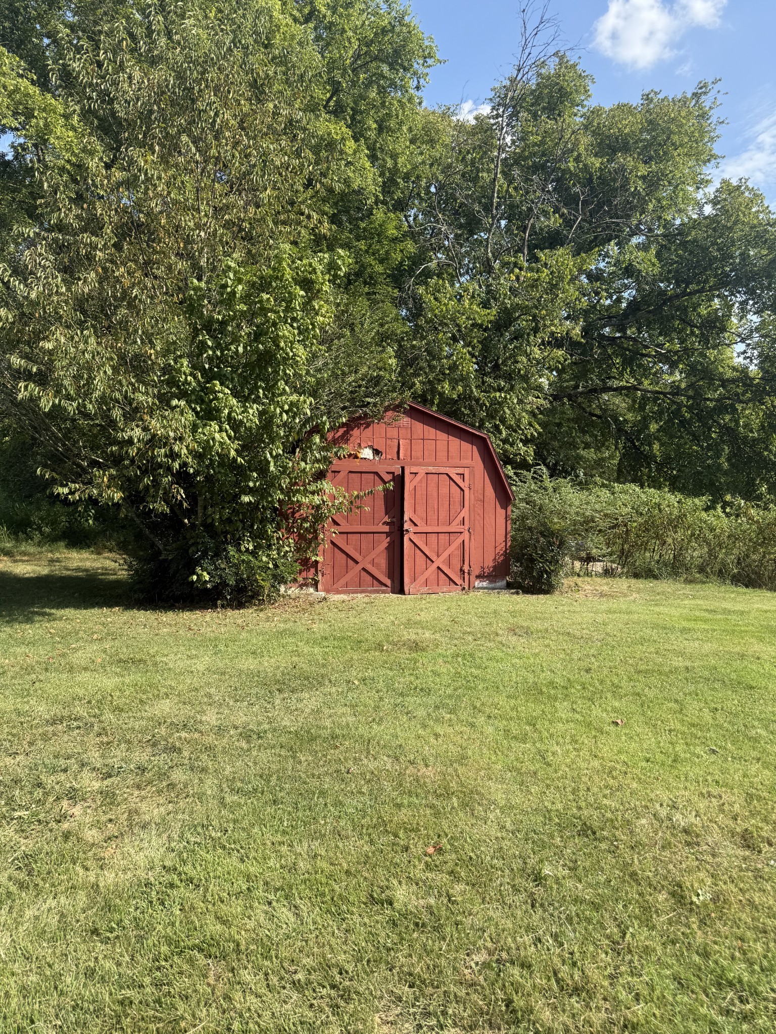 520 Pumpkin Branch Road Dixon Springs, TN 37057 - Photo 29 of 36 a view of a backyard of the house