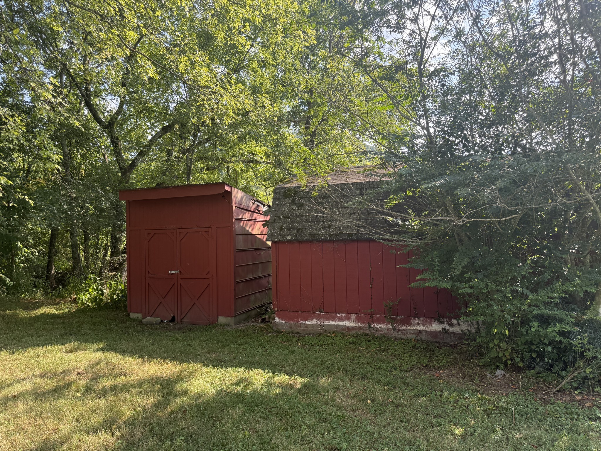 520 Pumpkin Branch Road Dixon Springs, TN 37057 - Photo 32 of 36 a view of backyard with green space