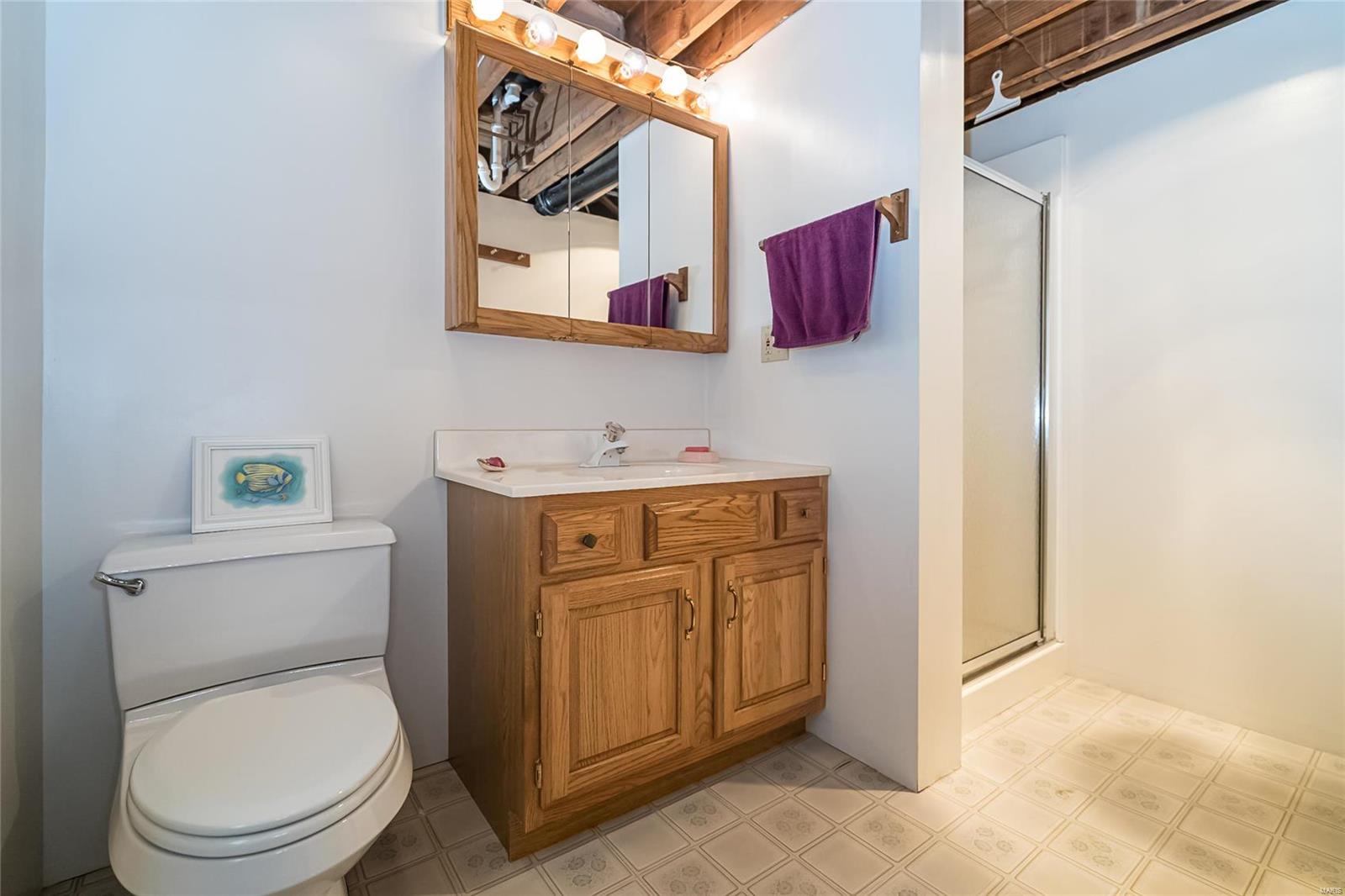 10 Willmore Road St. Louis, MO 63109 - Photo 38 of 52