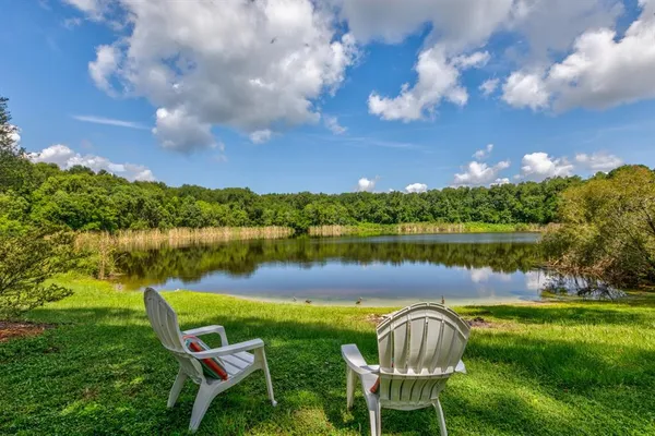 a view of a lake in a garden