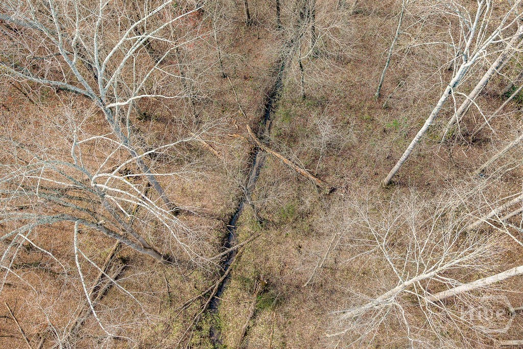 356 Clarksboro Drive Athens, GA 30607 - Photo 75 of 75