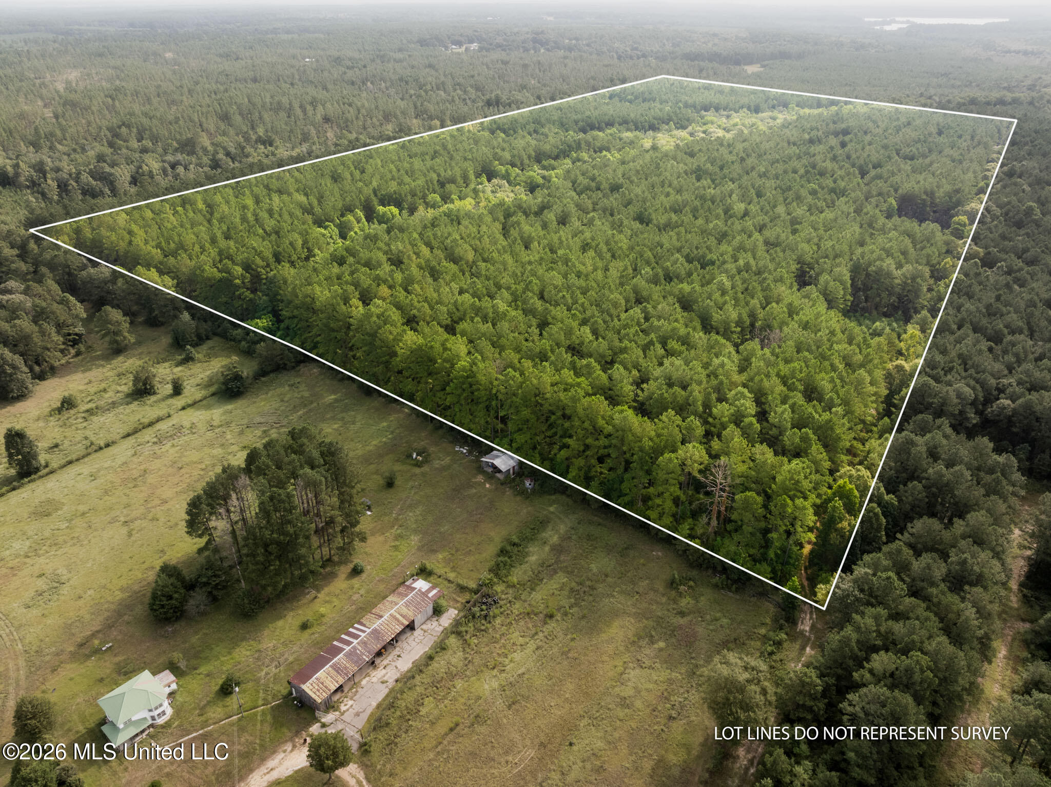 Lowe Road Lumberton, MS 39455 - Photo 1 of 18 80-Lamar-Arthur-Lowe-Rd-100
