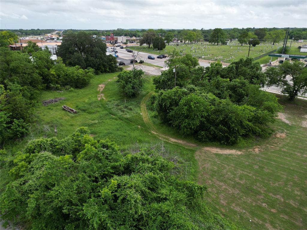 116 East Highway 199 Springtown, TX 76082 - Photo 12 of 15 Expansive green space featuring mature trees and established vegetation