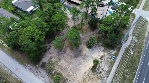 a view of a yard with plants and large trees