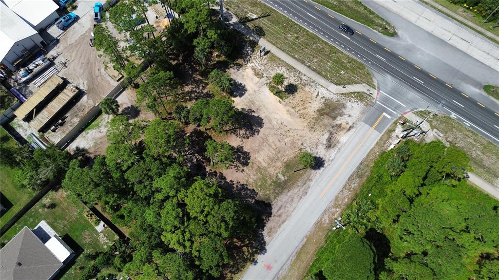 3609 South Ridgewood Avenue Edgewater, FL 32141 - Photo 4 of 7 a view of a yard with flower plants
