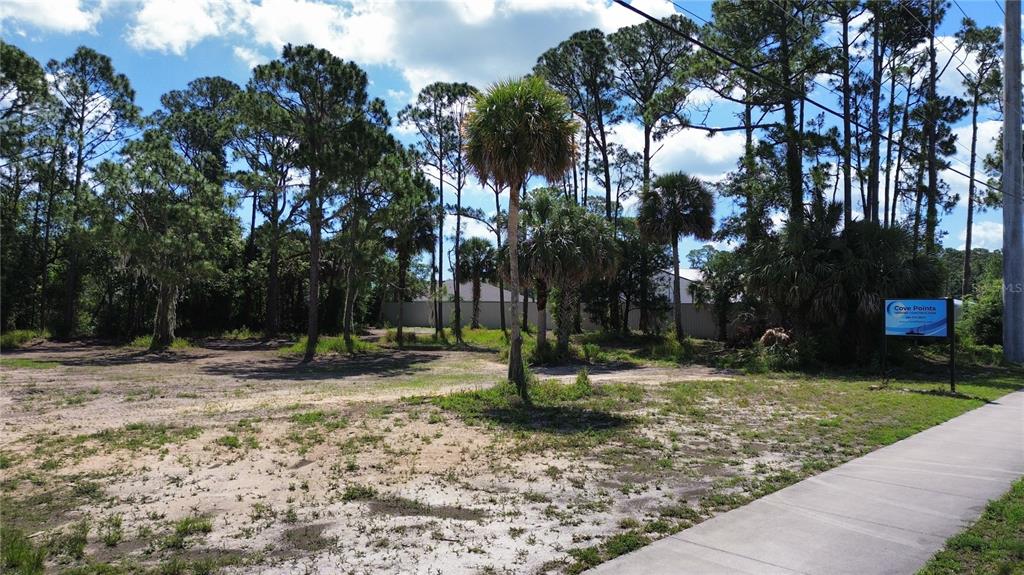 3609 South Ridgewood Avenue Edgewater, FL 32141 - Photo 5 of 7 a backyard of a house with lots of green space