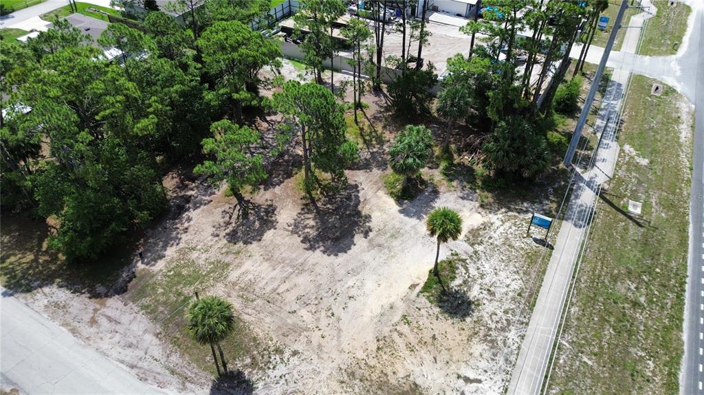 3609 South Ridgewood Avenue Edgewater, FL 32141 - Photo 6 of 7 a view of a yard with plants and large trees