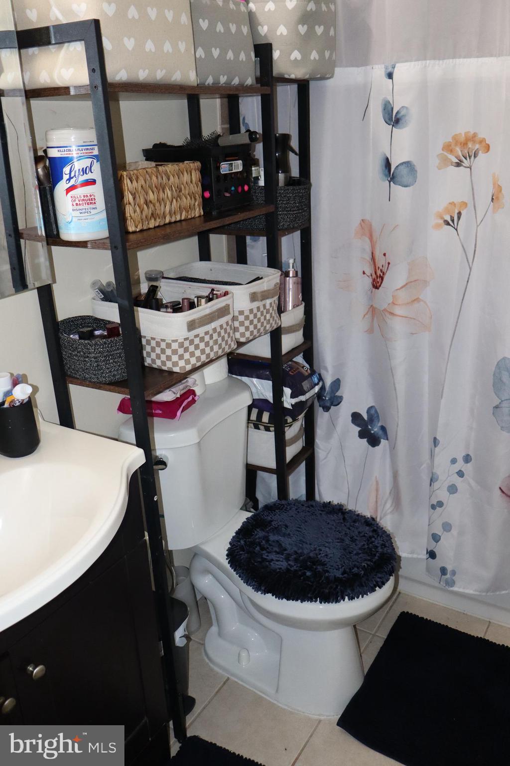 10916 Bridle Path Circle Waldorf, MD 20601 - Photo 31 of 31 a bathroom with a sink a toilet and shower