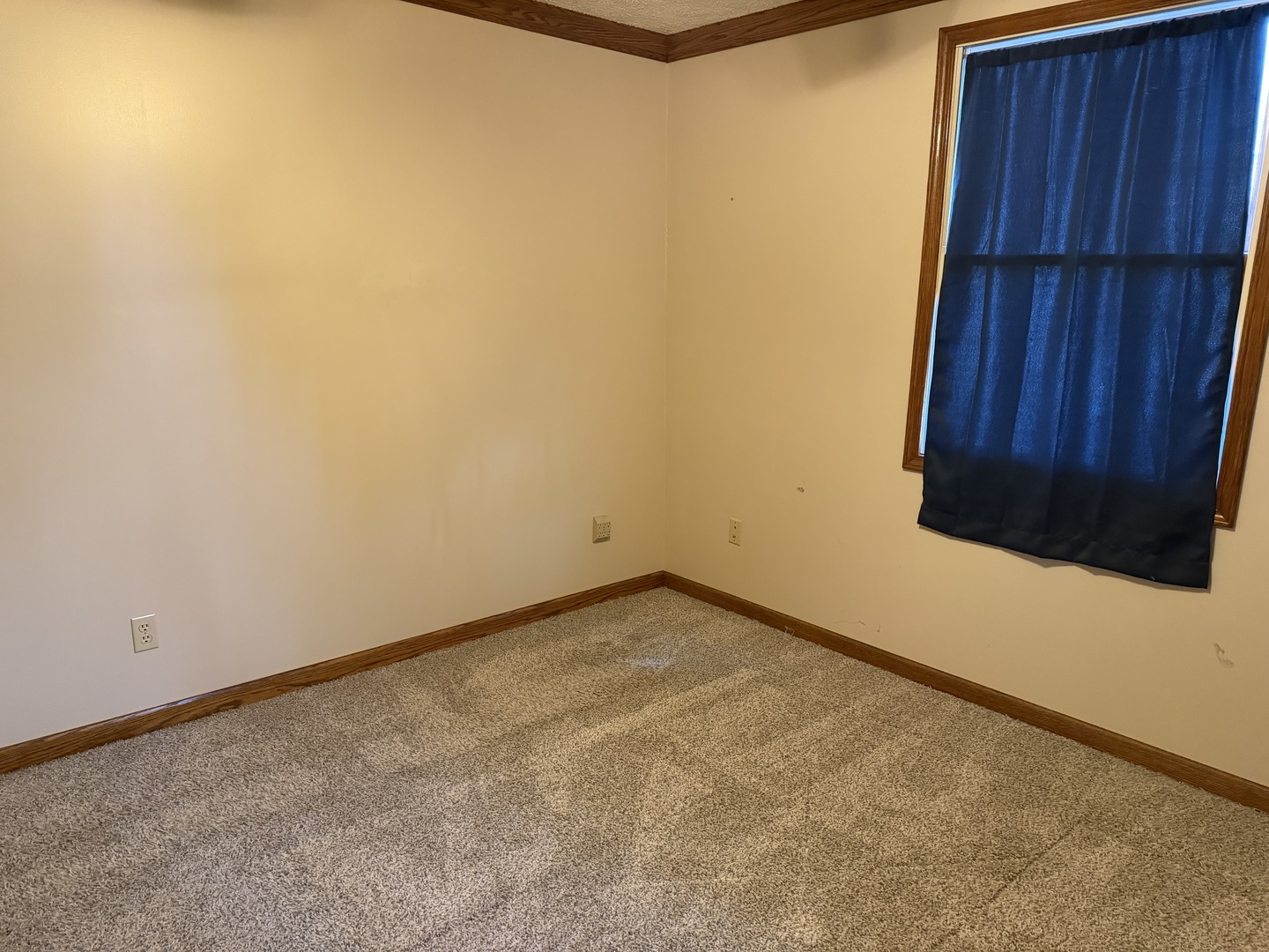 609 East Clay Street Clinton, IL 61727 - Photo 22 of 48