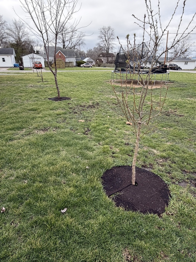 609 East Clay Street Clinton, IL 61727 - Photo 8 of 48