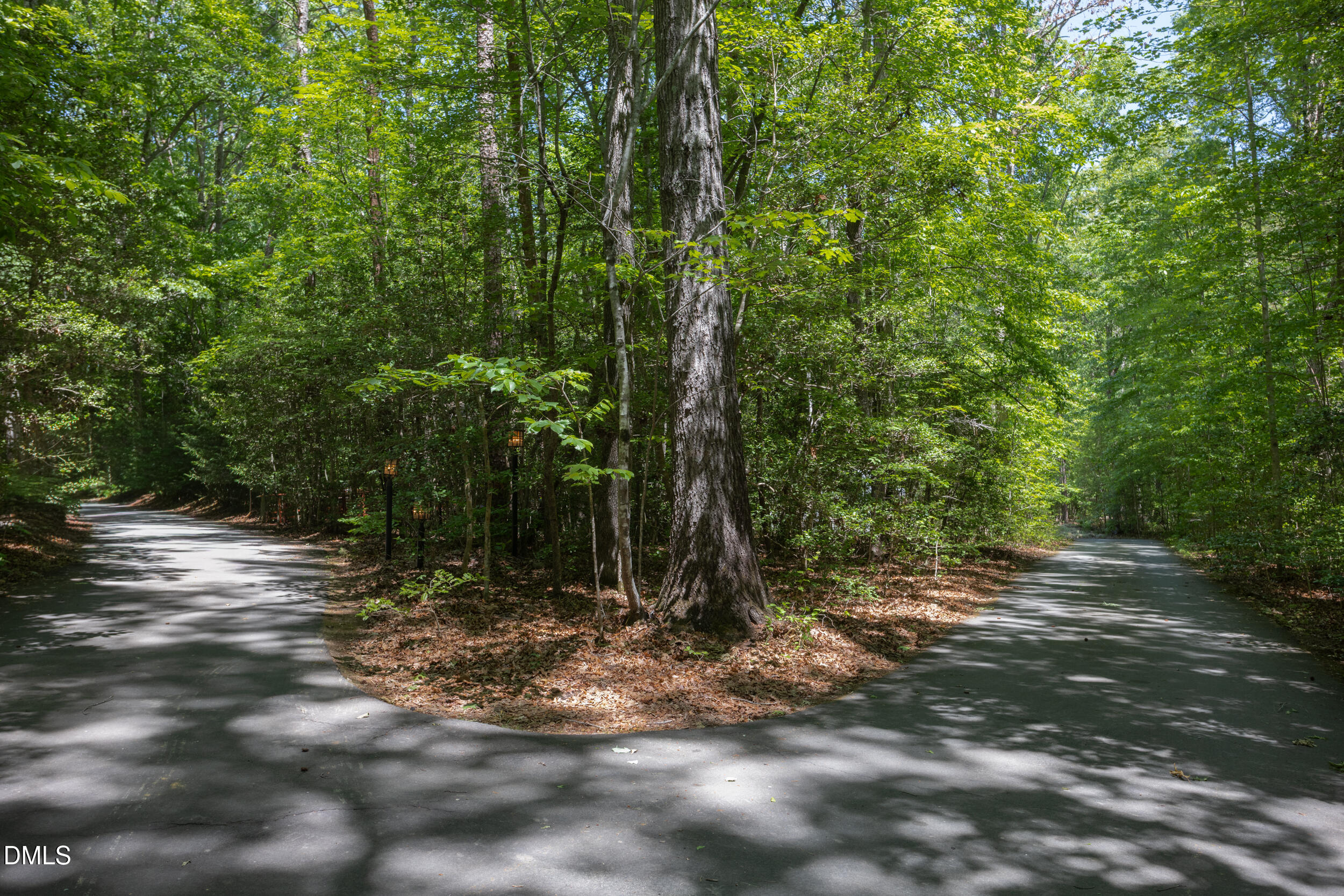 260 Bc Way Rougemont, NC 27572 - Photo 75 of 76 a view of outdoor space and trees