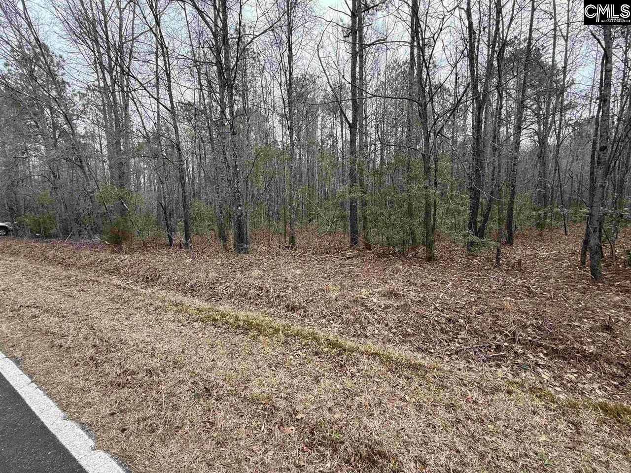 1644 Pincushion Road Columbia, SC 29209 - Photo 2 of 5