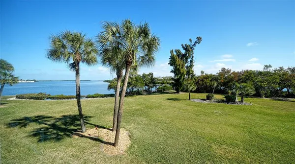 a view of a garden with a tree