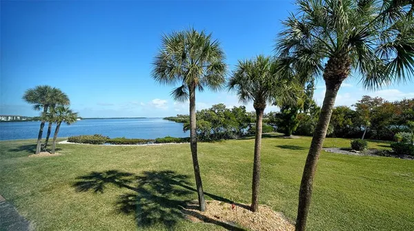a view of a garden with a tree