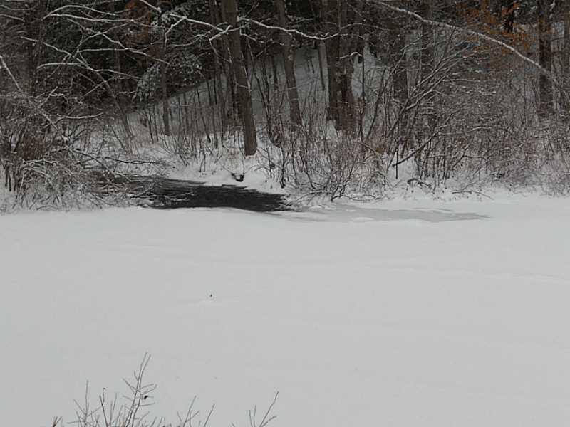 Lot #1 Off South Road Parsonsfield, ME 04047 - Photo 23 of 35 Land. Pond