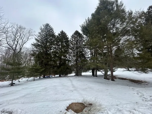a view of outdoor space with cars parked