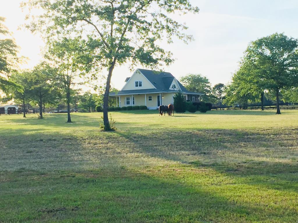 1060 Curb Chain Lane Windsor, SC 29856 - Photo 43 of 44