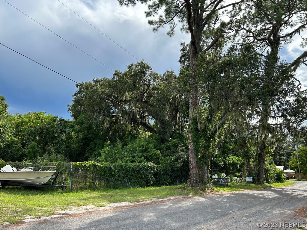 a view of a yard with a fountain