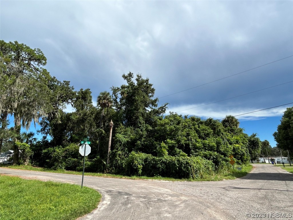431 Live Oak Street Edgewater, FL 32132 - Photo 2 of 6 a night view of a garden
