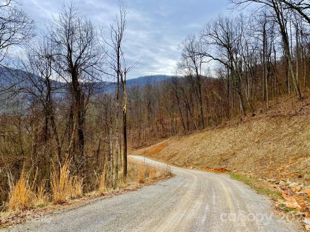 99999 Lytle Cove Road, Unit 4 Swannanoa, NC 28778 - Photo 2 of 17 Gallery Image 2