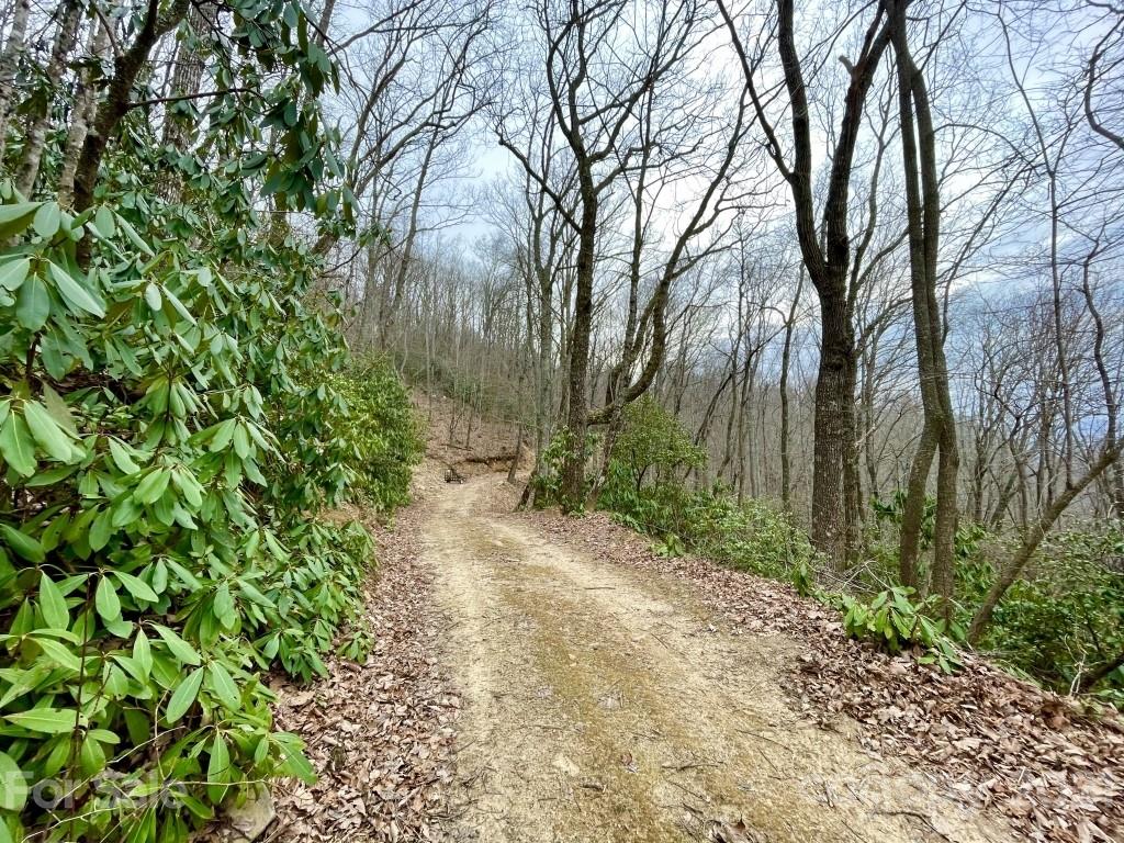 99999 Lytle Cove Road, Unit 4 Swannanoa, NC 28778 - Photo 11 of 17 Gallery Image 11