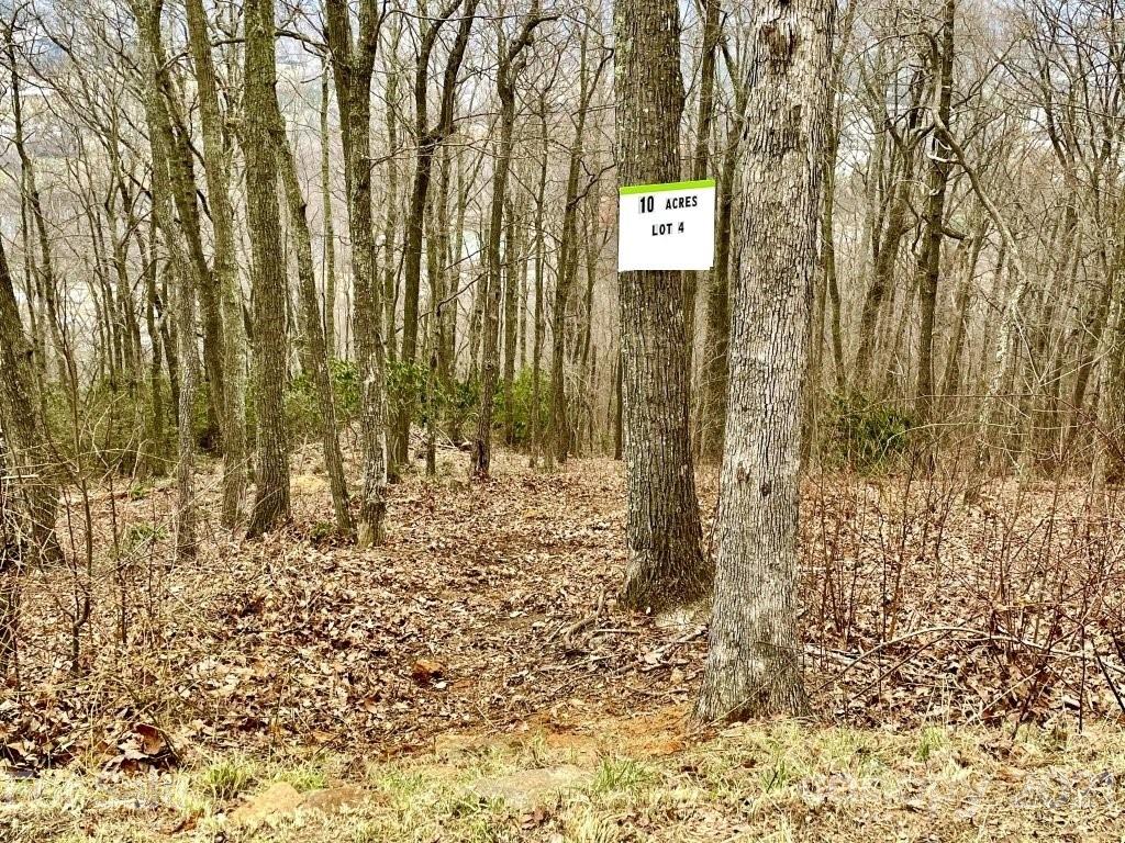 99999 Lytle Cove Road, Unit 4 Swannanoa, NC 28778 - Photo 13 of 17 Gallery Image 13