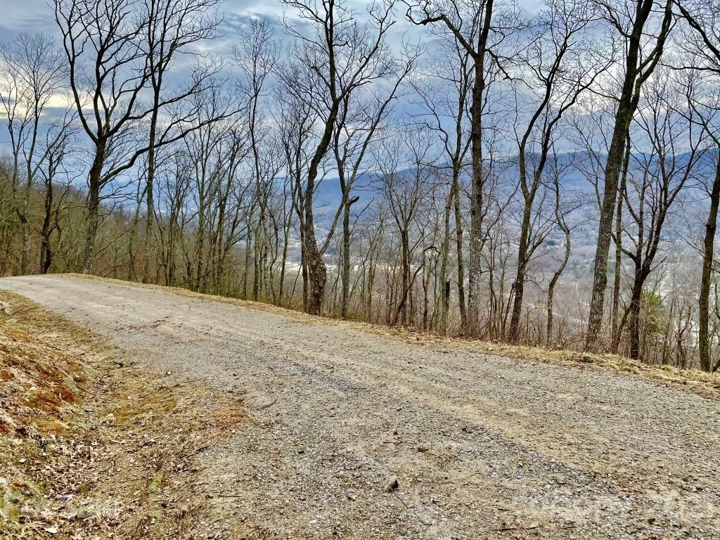 99999 Lytle Cove Road, Unit 4 Swannanoa, NC 28778 - Photo 15 of 17 Gallery Image 15