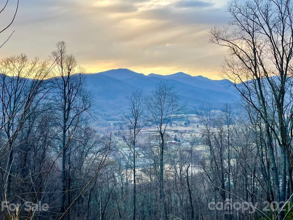 99999 Lytle Cove Road, Unit 4 Swannanoa, NC 28778 - Photo 16 of 17 Gallery Image 16