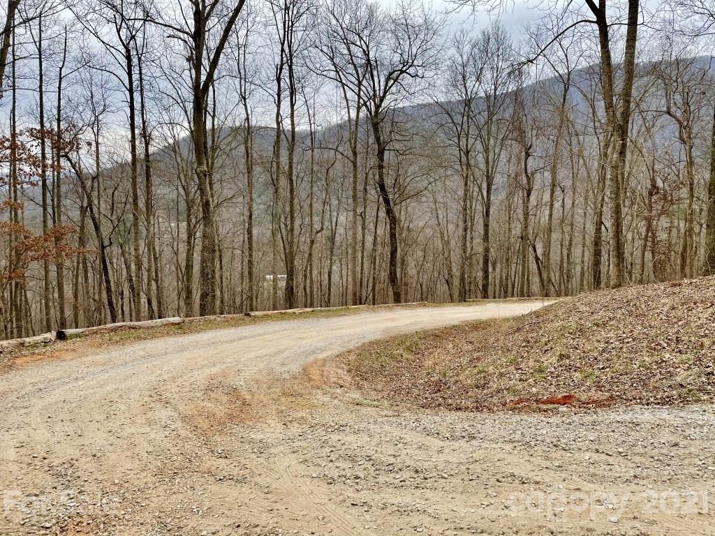 99999 Lytle Cove Road, Unit 4 Swannanoa, NC 28778 - Photo 3 of 17 Gallery Image 3