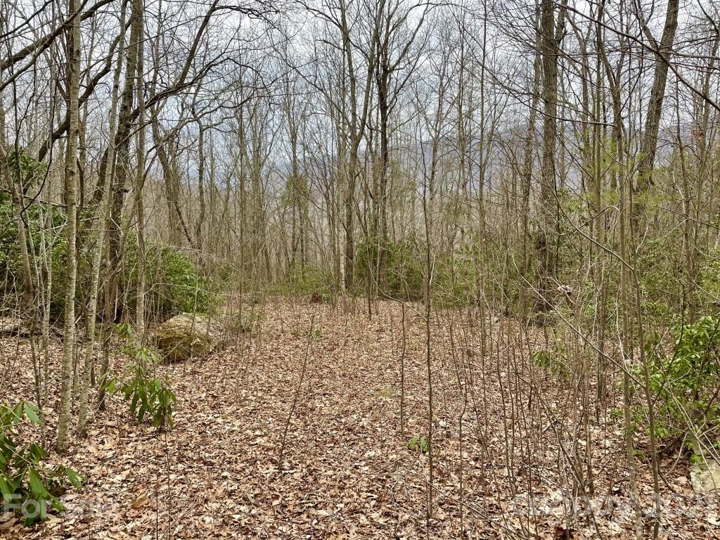 99999 Lytle Cove Road, Unit 4 Swannanoa, NC 28778 - Photo 4 of 17 Gallery Image 4