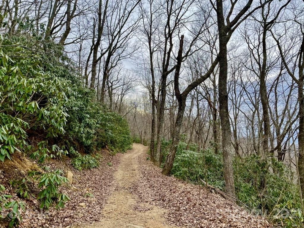 99999 Lytle Cove Road, Unit 4 Swannanoa, NC 28778 - Photo 6 of 17 Gallery Image 6