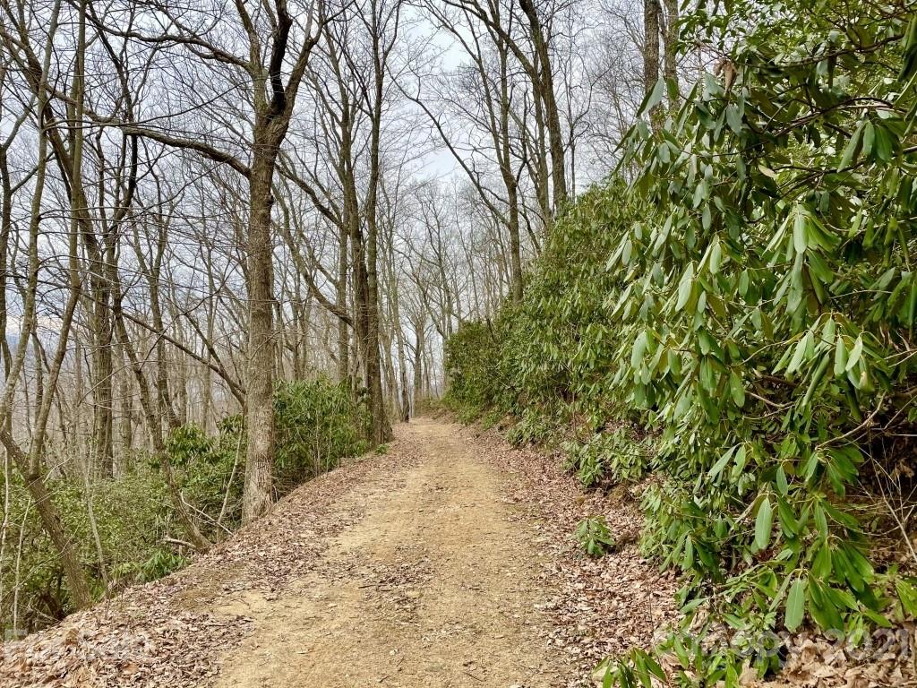 99999 Lytle Cove Road, Unit 4 Swannanoa, NC 28778 - Photo 9 of 17 Gallery Image 9