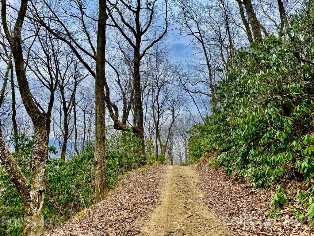 99999 Lytle Cove Road, Unit 4 Swannanoa, NC 28778 - Photo 10 of 17 Gallery Image 10