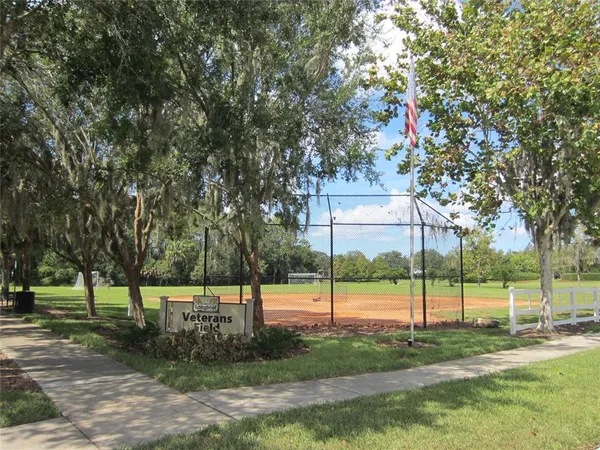 a view of a park with large trees