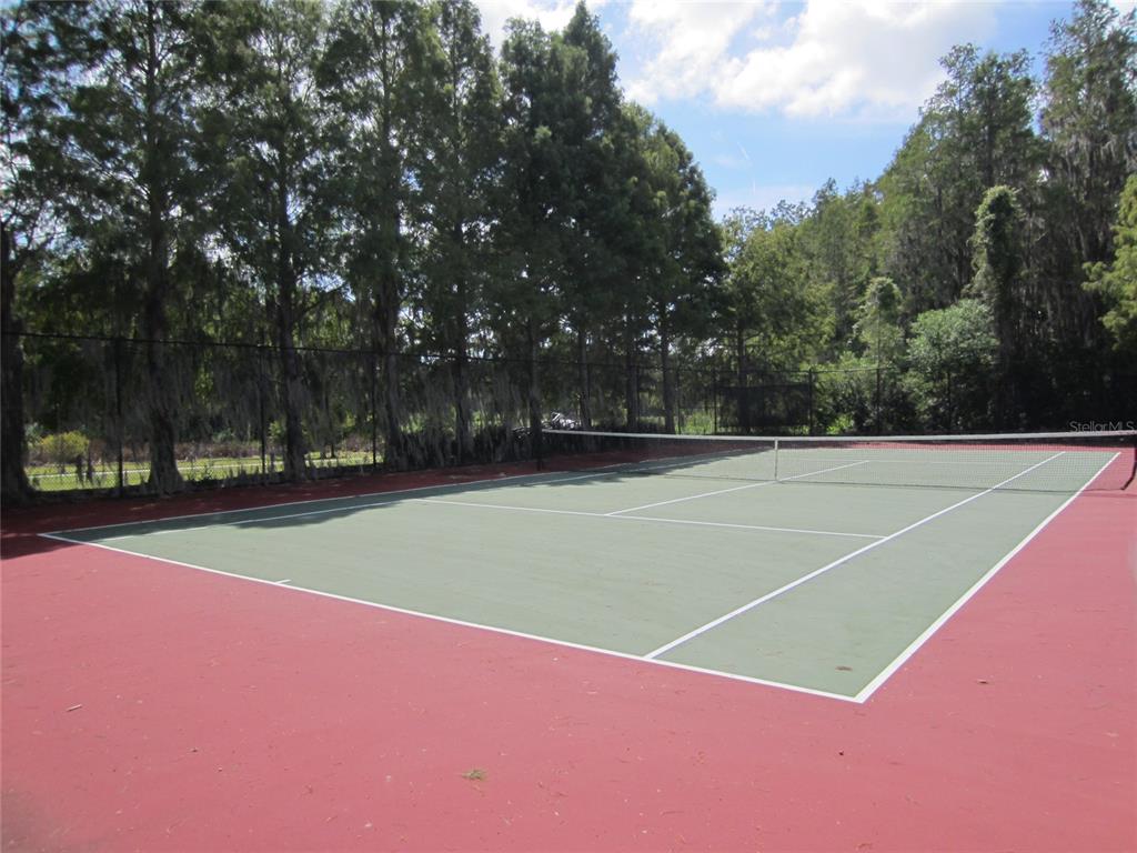 3432 Lonzalo Way New Port Richey, FL 34655 - Photo 34 of 44