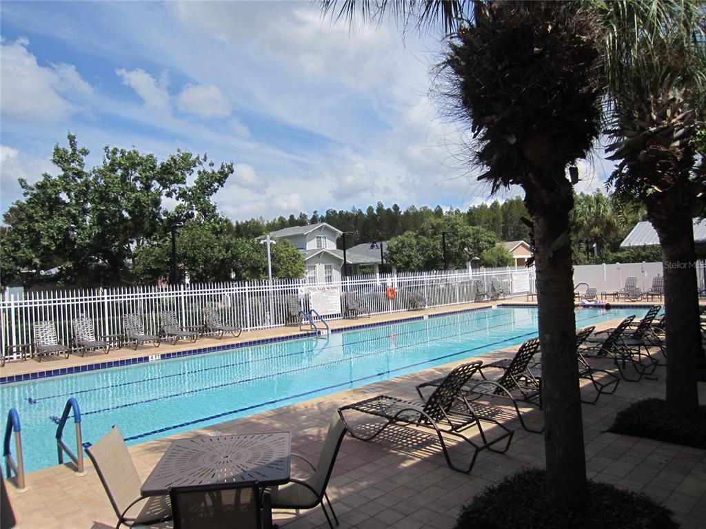 3432 Lonzalo Way New Port Richey, FL 34655 - Photo 40 of 44