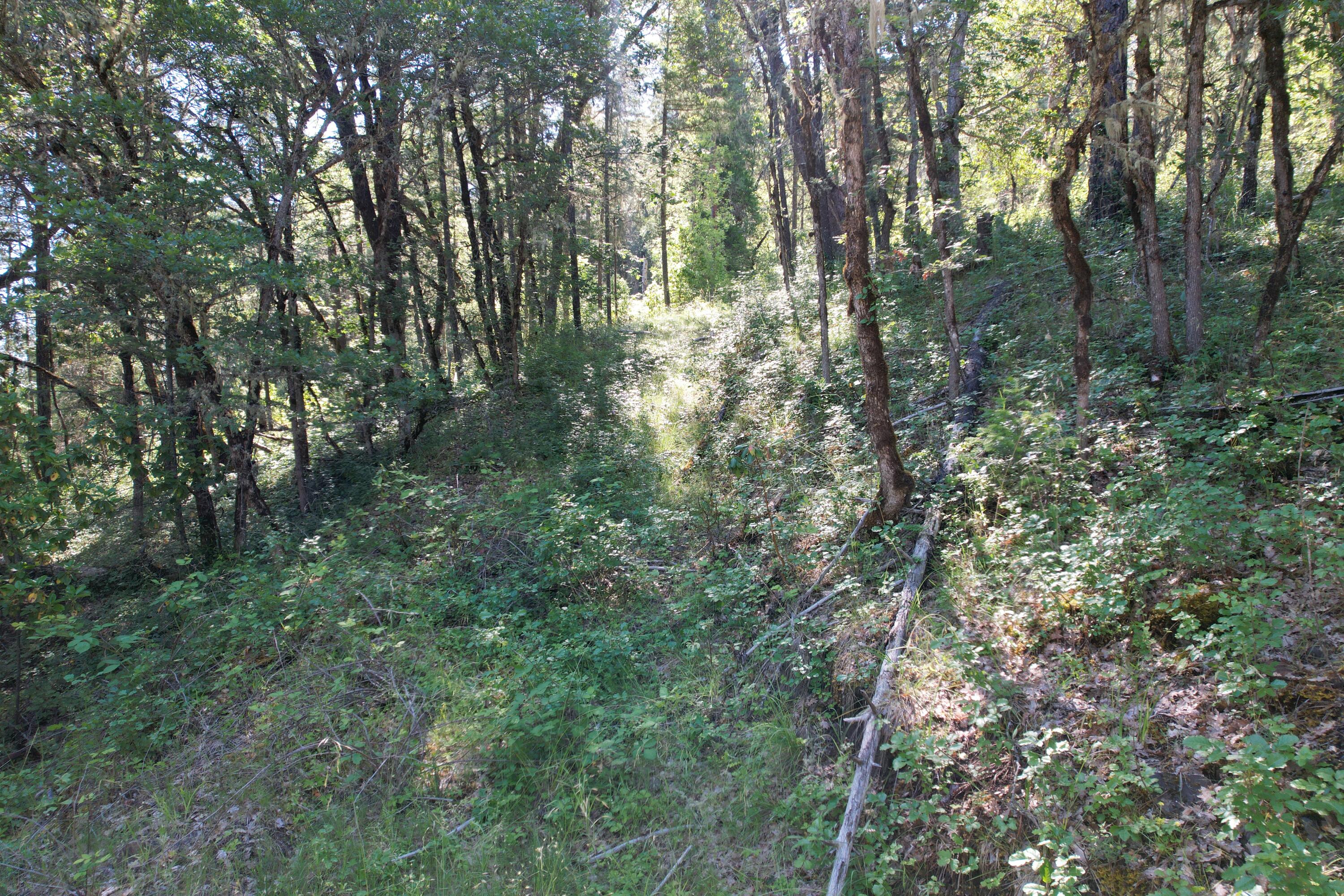 Old Ferry Road Shady Cove, OR 97539 - Photo 19 of 33 OLD FERRY (10)