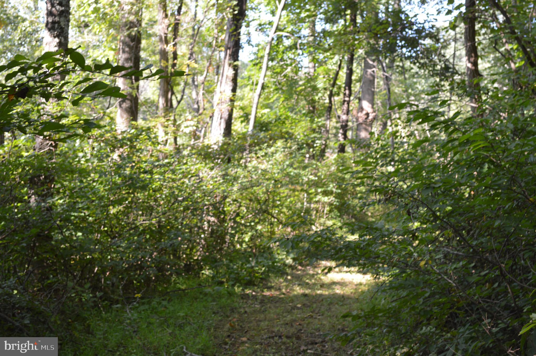 Freezeland Road Linden, VA 22642 - Photo 2 of 7