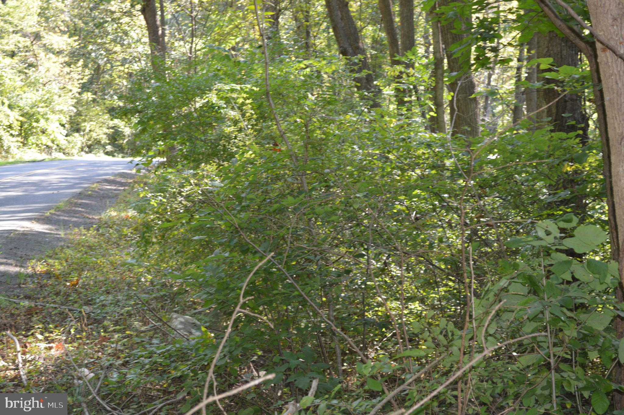 Freezeland Road Linden, VA 22642 - Photo 4 of 7 Road in picture is of Freezeland