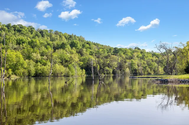 a house view with a outdoor space