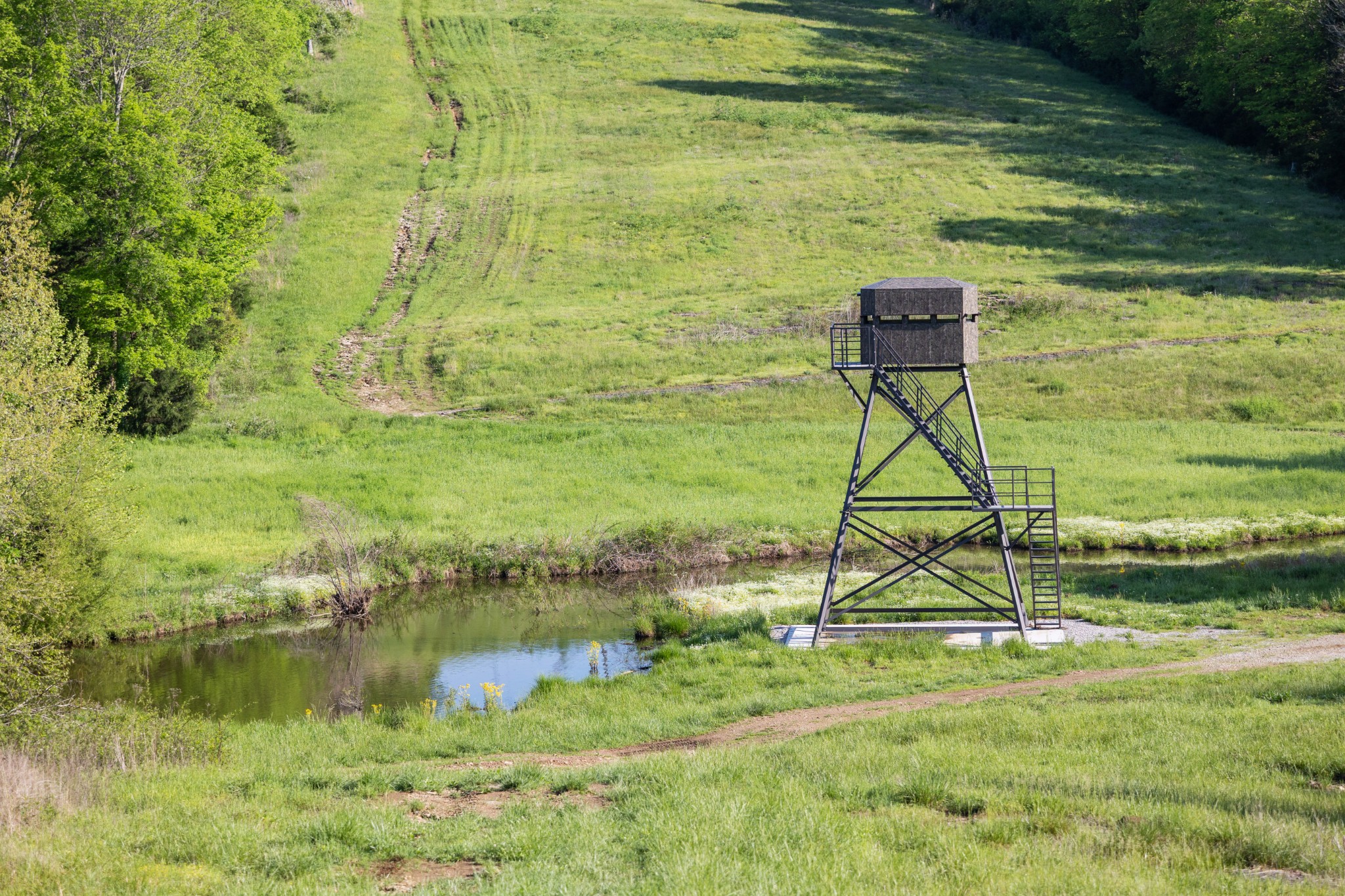 605 Red Oak Road Petersburg, TN 37144 - Photo 34 of 98