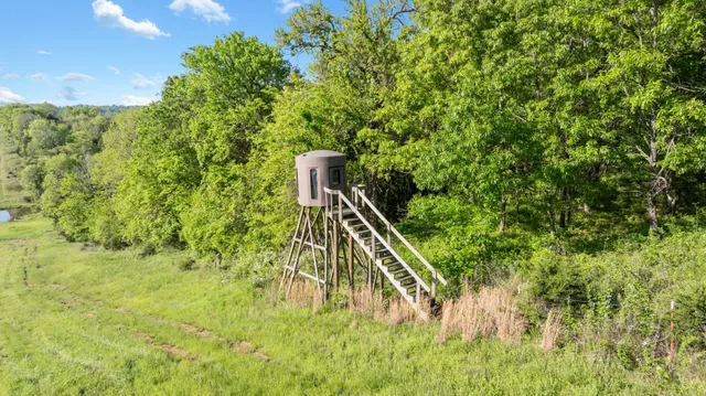 a view of house with yard and green space