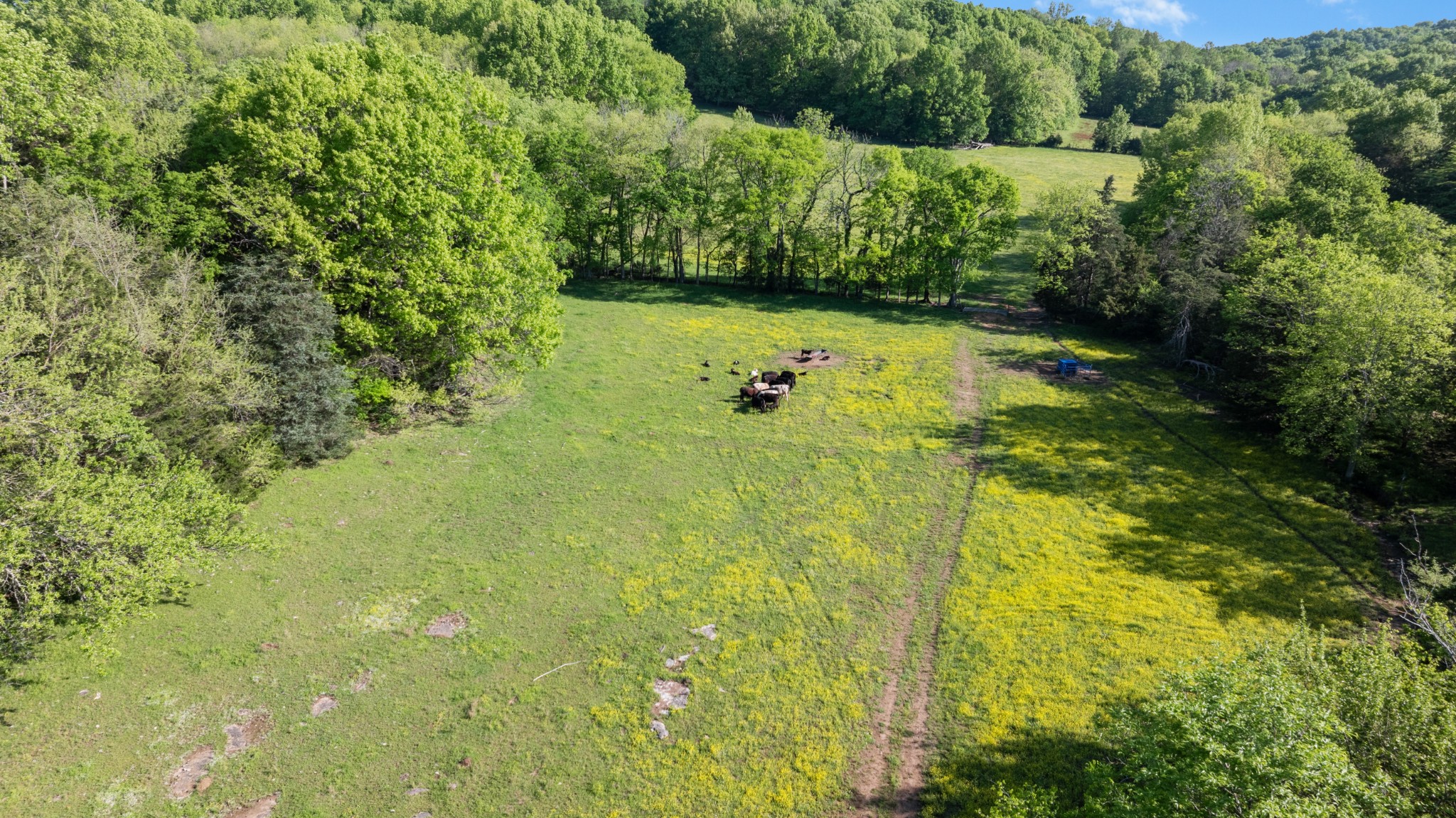 605 Red Oak Road Petersburg, TN 37144 - Photo 38 of 98