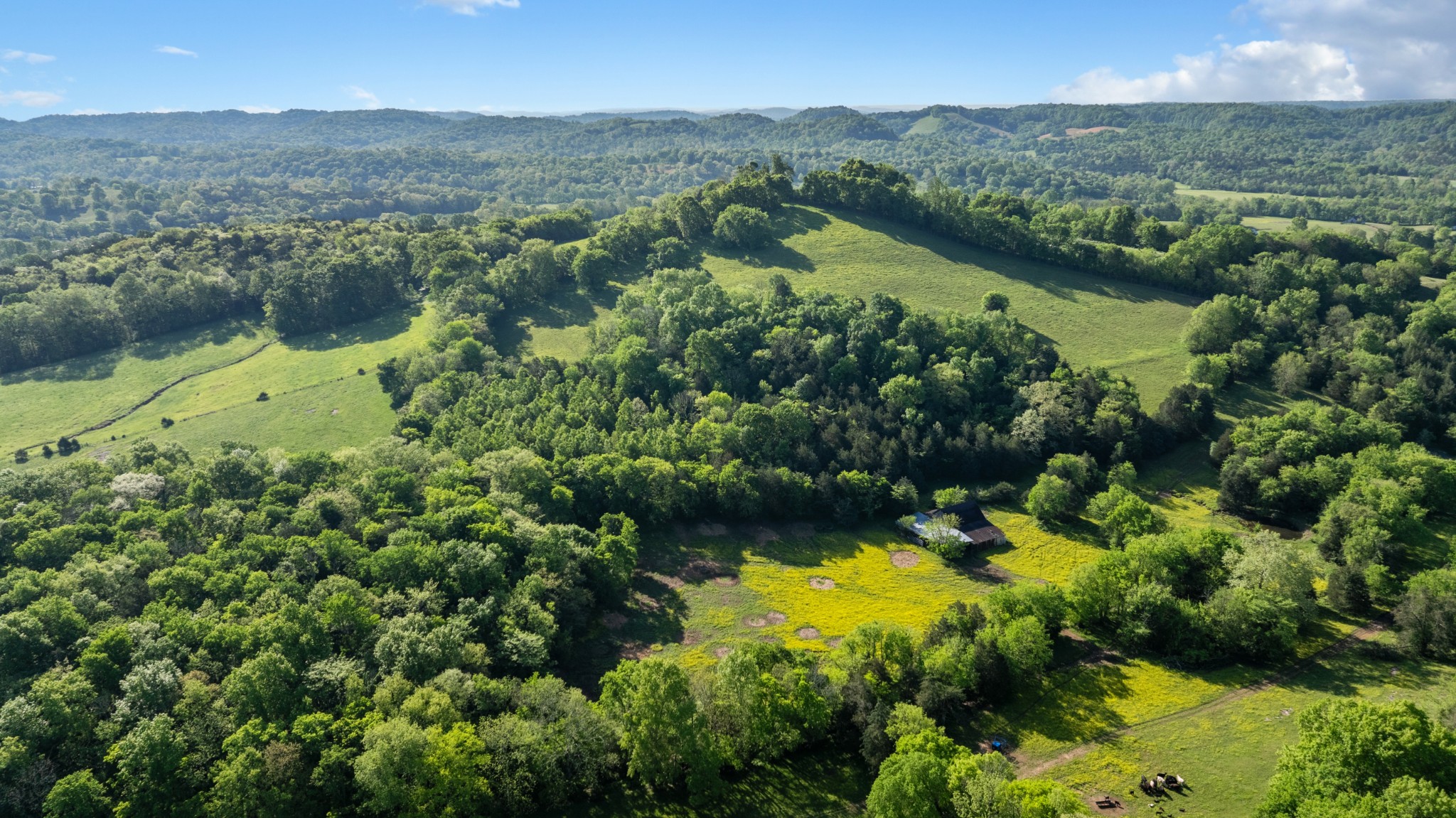 605 Red Oak Road Petersburg, TN 37144 - Photo 39 of 98